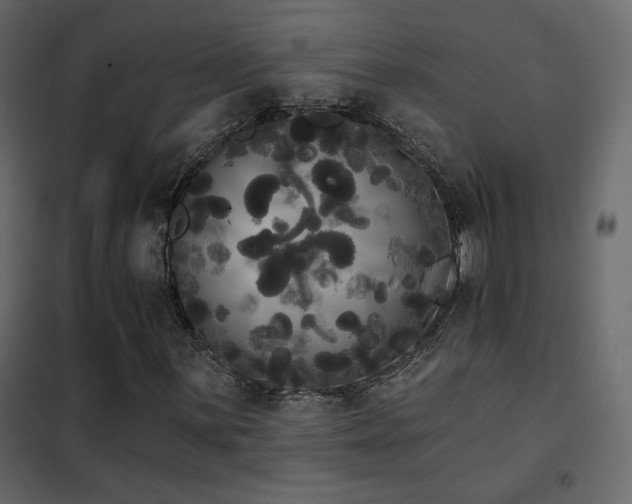 X0000102531059200808081446