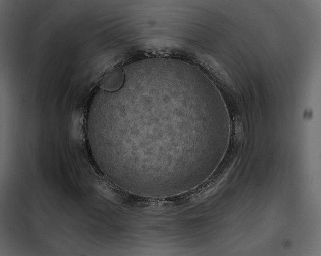 X0000102531060200808081446