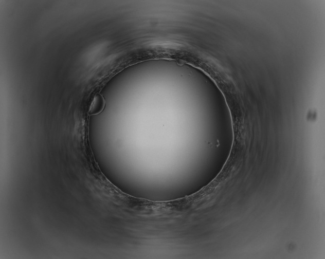 X0000102531061200808081446