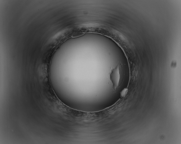 X0000102531062200808081446
