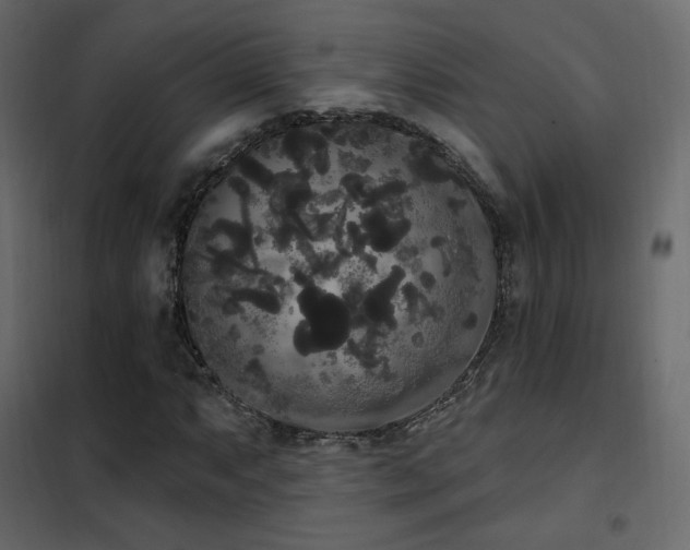 X0000102531063200808081446
