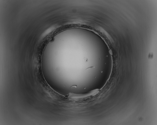X0000102531064200808081446