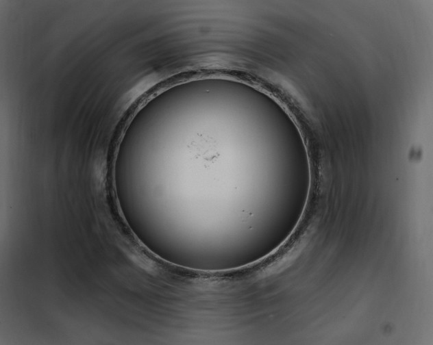 X0000102531065200808081446