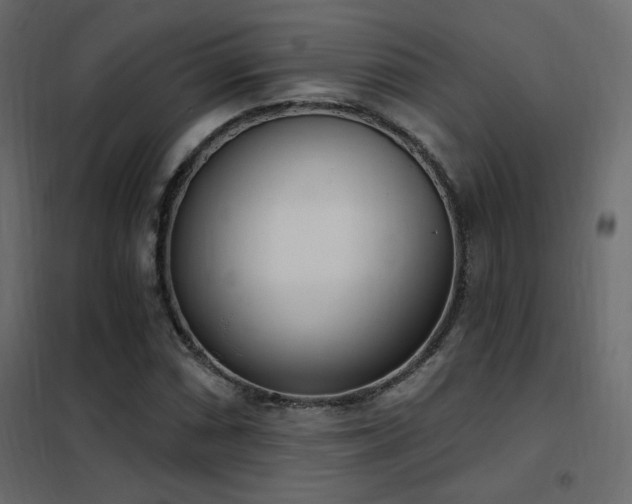 X0000102531066200808081446