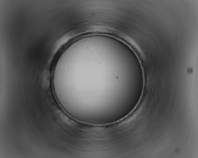 X0000102531067200808081446