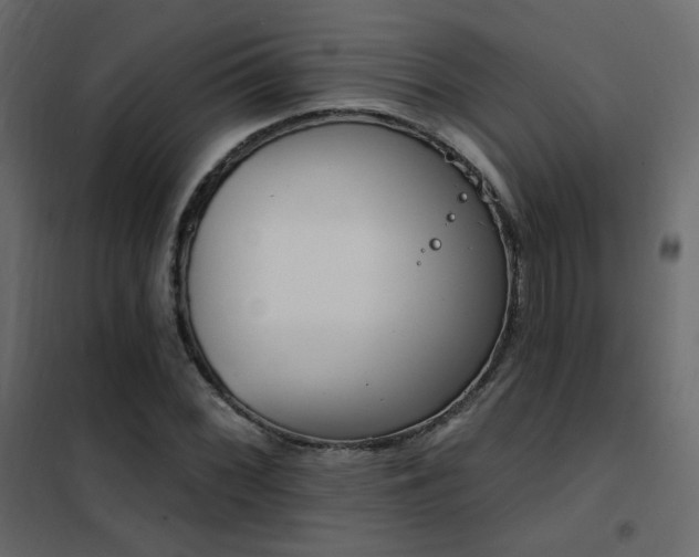 X0000102531068200808081446