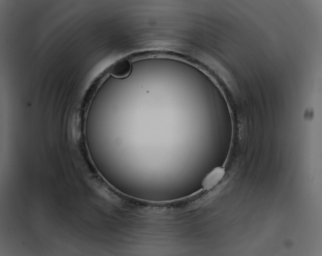 X0000102531069200808081446