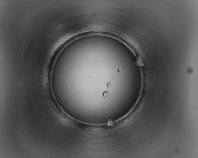 X0000102531070200808081446