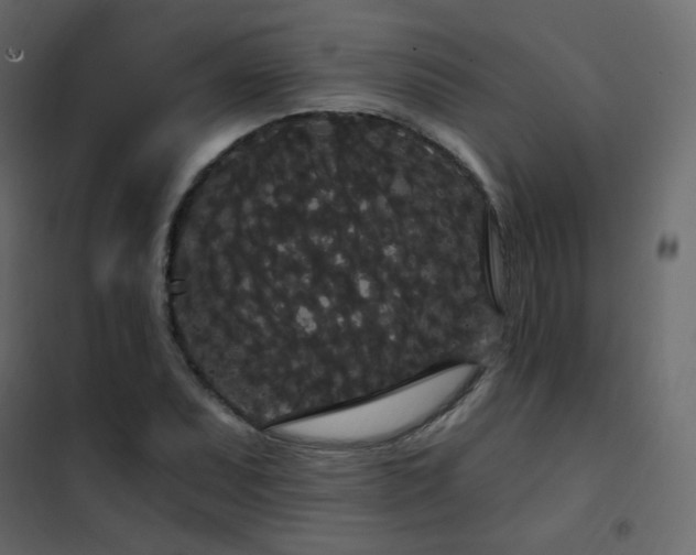 X0000102531071200808081446