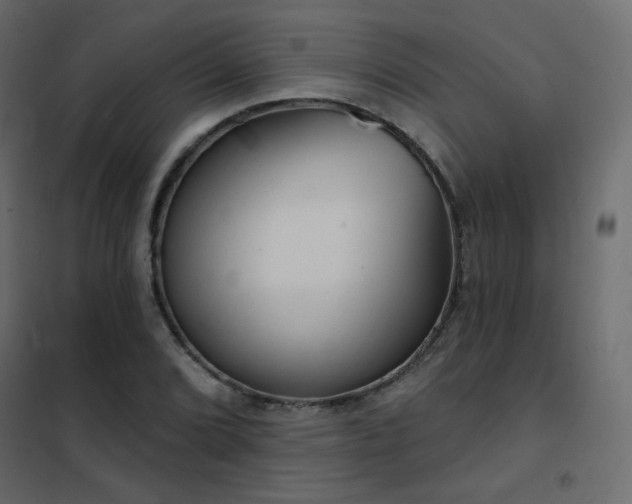 X0000102531072200808081446