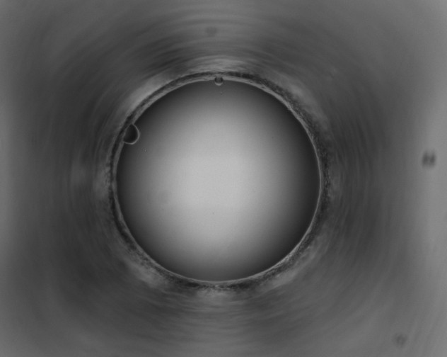 X0000102531073200808081446