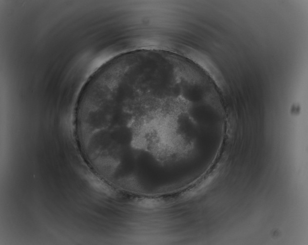 X0000102531074200808081446