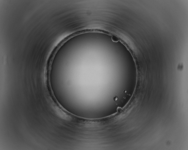 X0000102531076200808081446