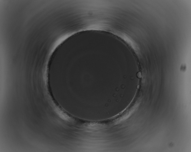 X0000102531077200808081446