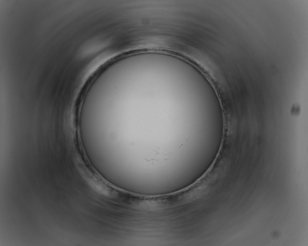 X0000102531078200808081446