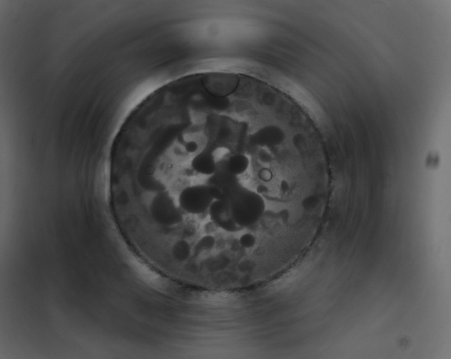 X0000102531079200808081446