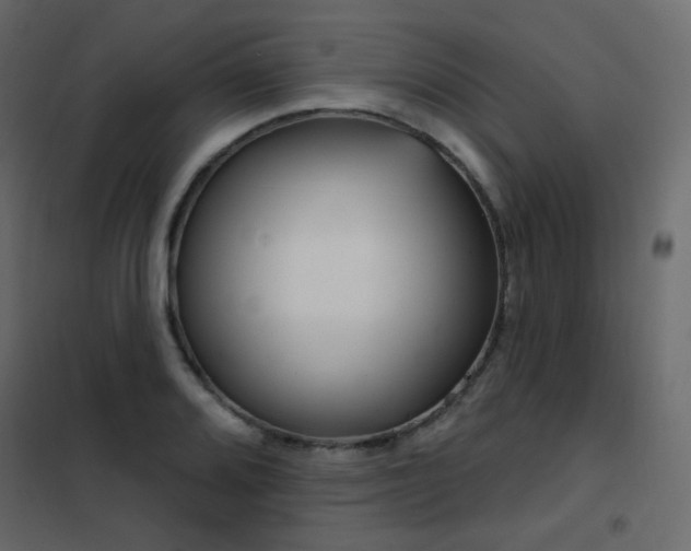 X0000102531080200808081446