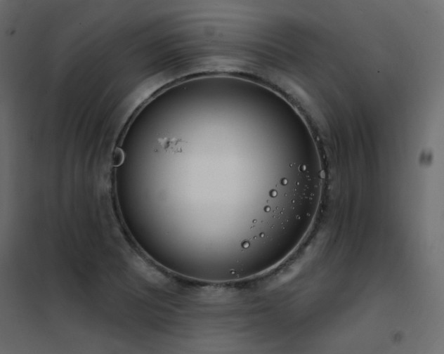 X0000102531081200808081446