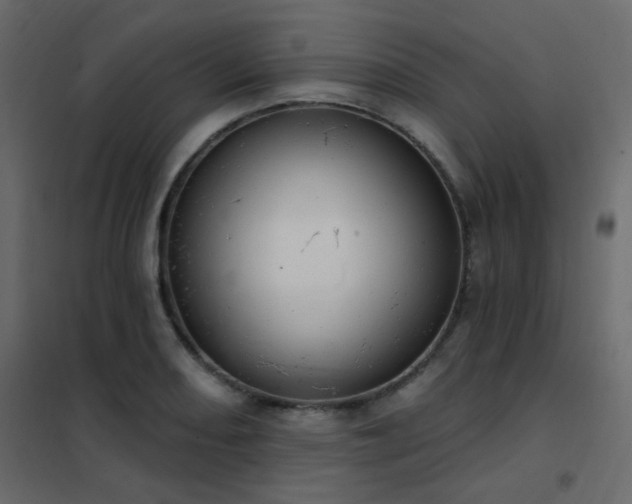 X0000102531082200808081446