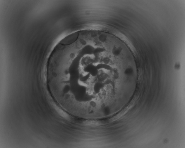 X0000102531083200808081446