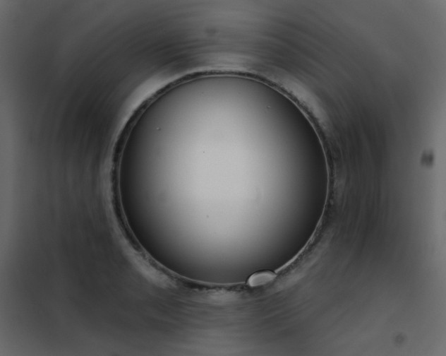 X0000102531085200808081446