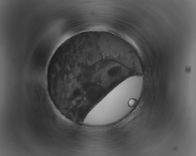 X0000102531087200808081446