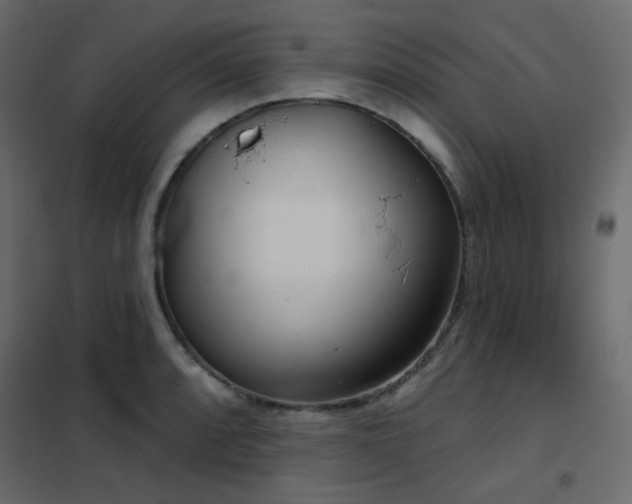 X0000102531088200808081446