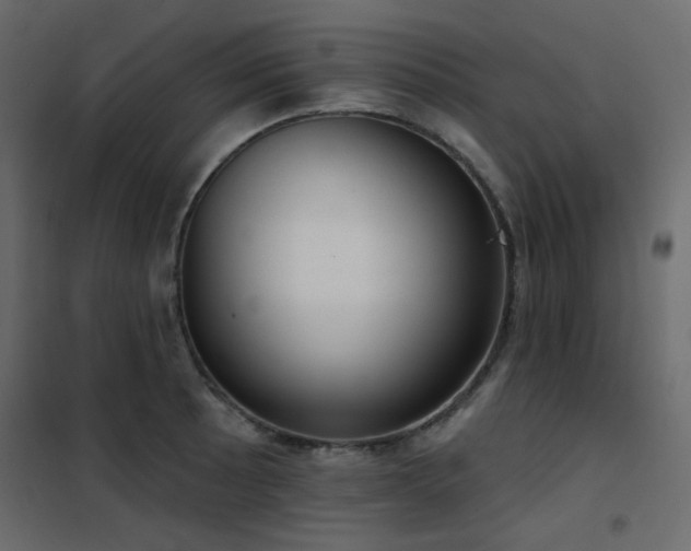 X0000102531089200808081446
