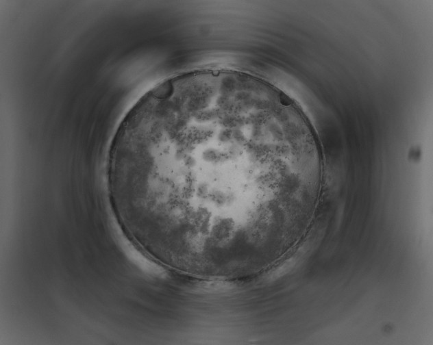 X0000102531090200808081446