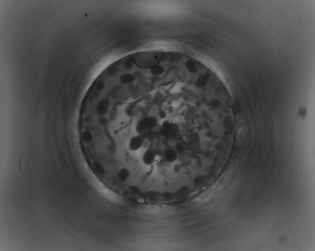 X0000102531091200808081446