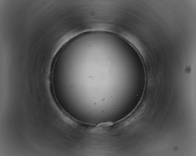 X0000102531093200808081446