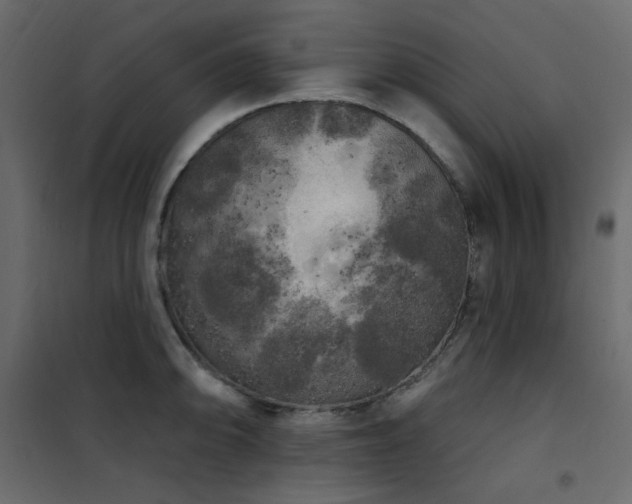 X0000102531094200808081446