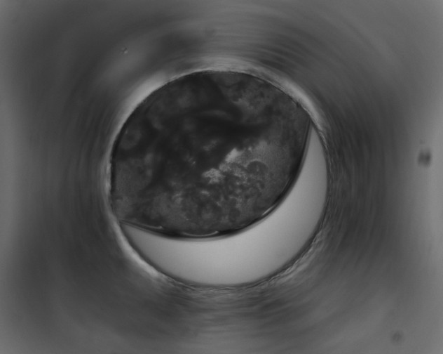 X0000102531095200808081446