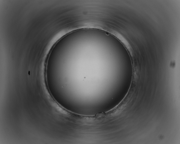 X0000102531096200808081446