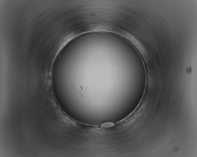 X0000102531097200808081446