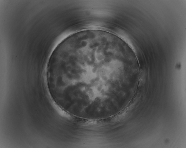 X0000102531098200808081446