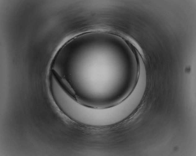 X0000102531099200808081446