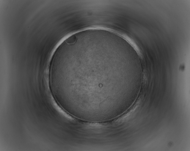 X0000102531100200808081446