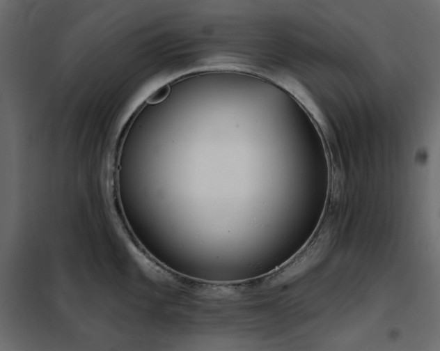 X0000102531101200808081446