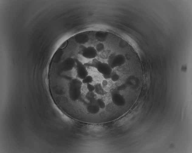 X0000102531103200808081446