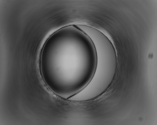 X0000102531104200808081446