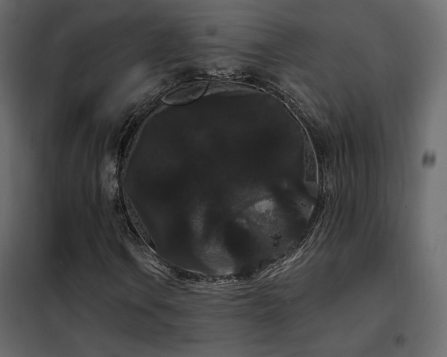 X0000102531106200808081445