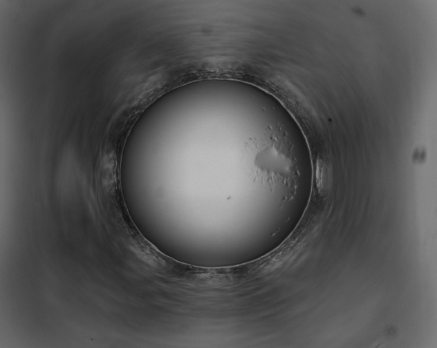 X0000102531107200808081445