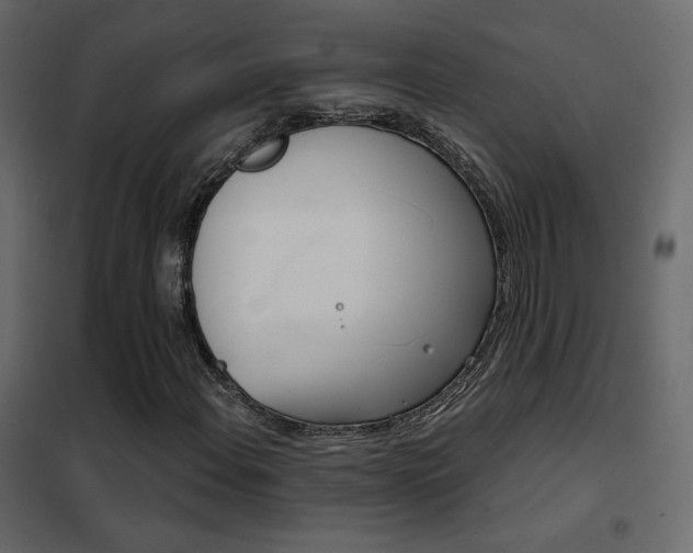 X0000102531108200808081445
