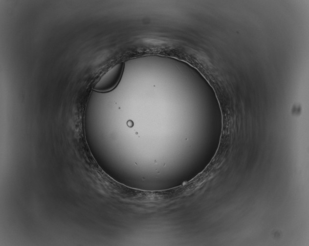X0000102531109200808081445