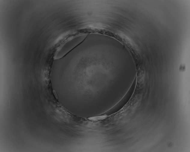 X0000102531110200808081445