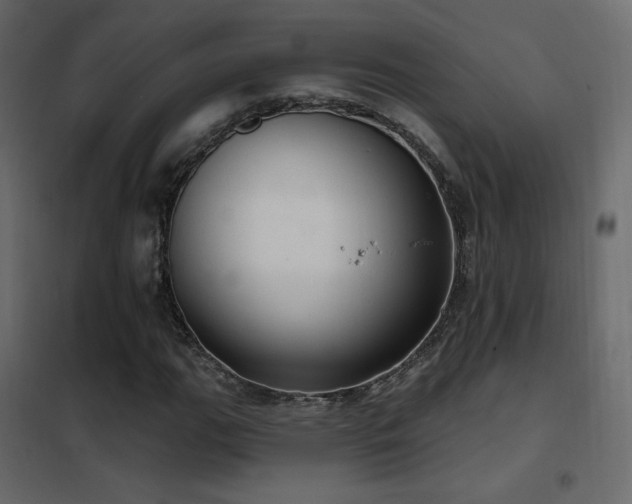 X0000102531111200808081445