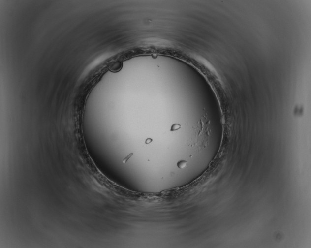 X0000102531112200808081445