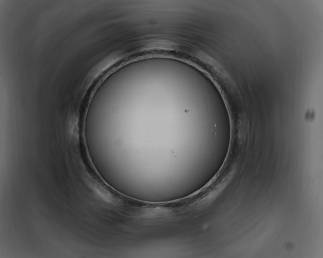 X0000102531113200808081445
