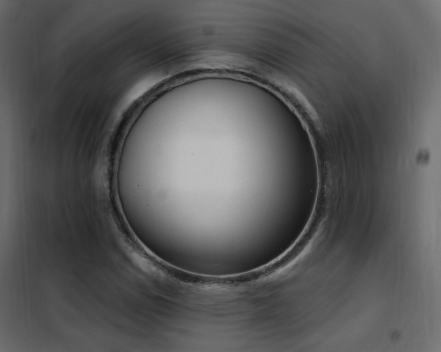 X0000102531114200808081445